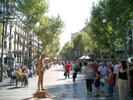 Barcelona Rambles 